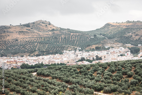 Canvastavla a view of Dona Mencia, province of Cordoba, Andalusia, Spain
