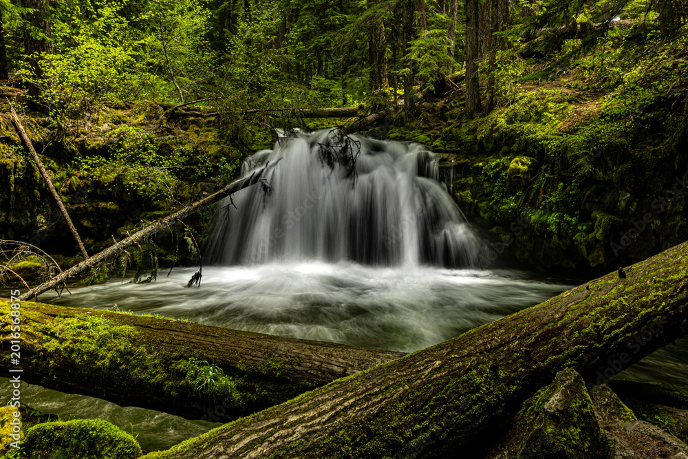 Fototapeta premium waterfall