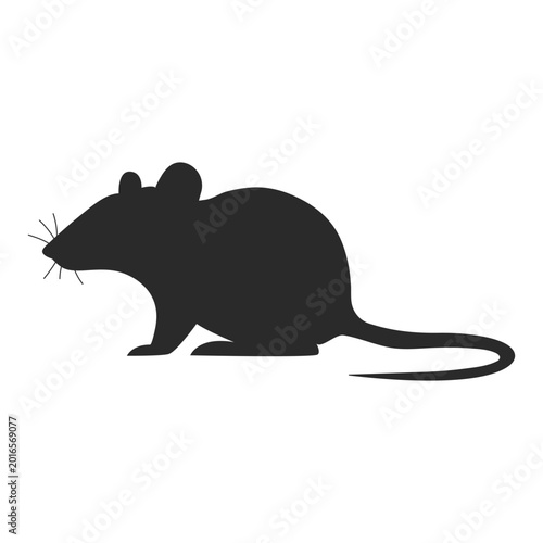 Foto Rat silhouette isolated on white background.