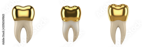 Foto Solid Golden Molar Tooth Dental Anatomy Isolated on White Background, PNG