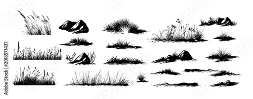 Grass Silhouette . Set Hand drawn. Not AI, vector illustration.