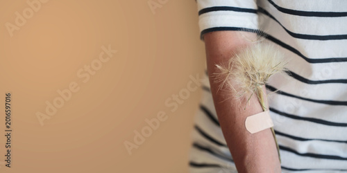 Quadro em tela Minimal horizontal concept of dandelion attached to female arm with medical plas