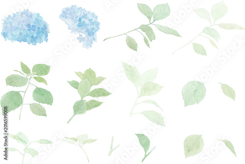 Fotografía 水彩で描いた紫陽花のベクター素材