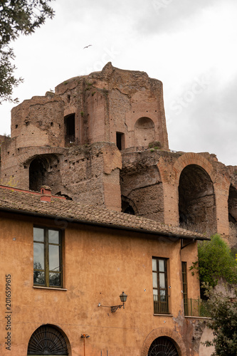 Foto Spring vacation in Rome, view on castle ruins on Palatine hill, green pine trees
