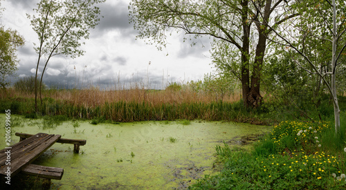 Tableau sur toile Marshy area