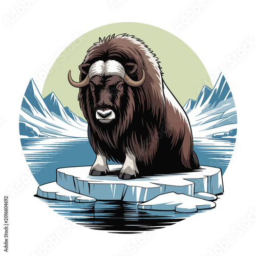Photos Large Muskox on Iceberg Formation Closeup.