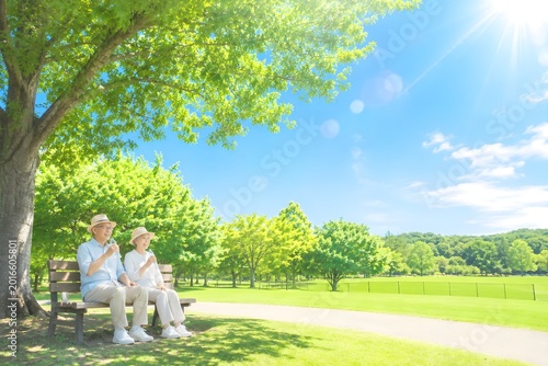 夏の強い日差しの公園で木陰に座り水分補給をして休憩する帽子姿の高齢夫婦の熱中症対策イメージ（AI生成）
