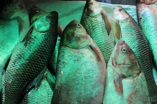 Foto Freshly caught fish displayed for sale at a market stall