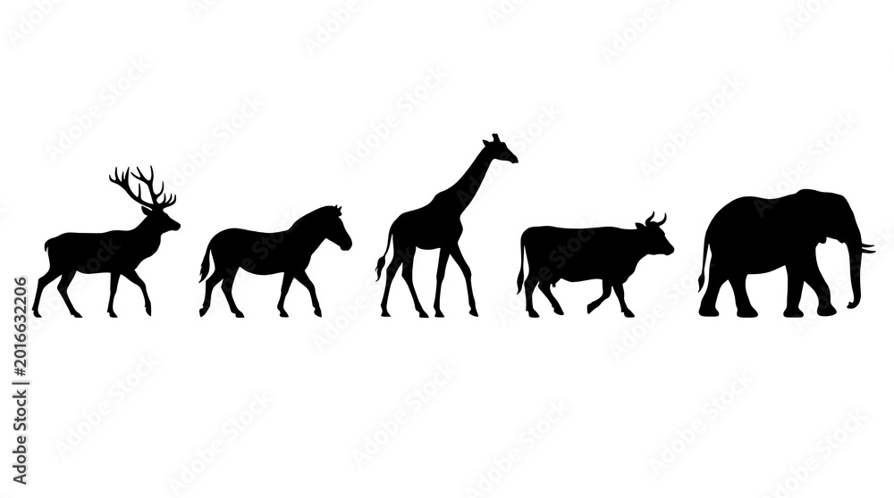 Fototapeta premium Various animal silhouettes walk together in a line outdoors freely.