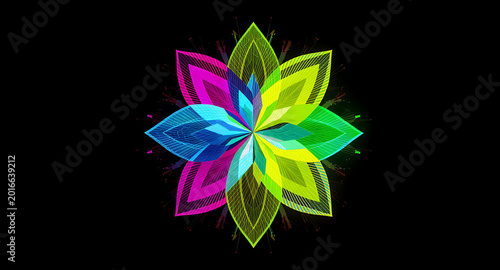 Vibrant Abstract Floral Design on Black Background.