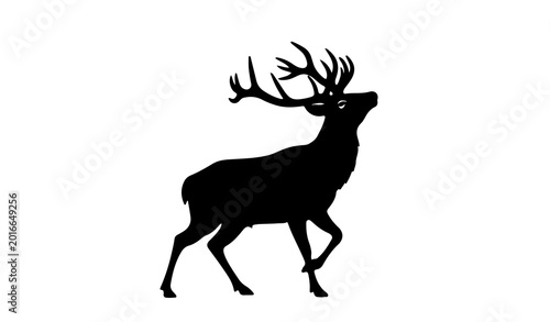 Bild auf Leinwand Majestic male deer stag with large antlers silhouette on white background