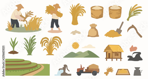 Obraz na płótnie Rice Plant Harvest Vector Set with Golden Grain Field Farming Illustrations