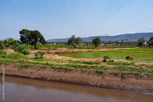 irrigation canal along field of rice paddies on edge of village and mountains on horizon