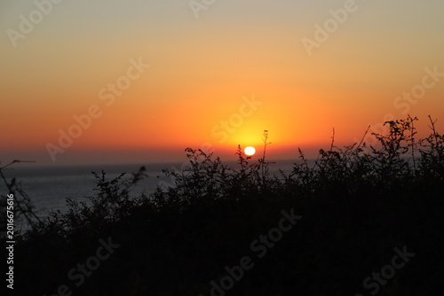 Foto Sunset By Oceanside Shrubbery