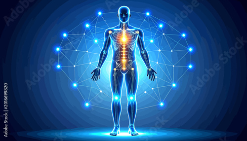 Digital anatomical representation of human body with glowing skeletal system and neural network connections