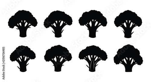 Photos Broccoli florets collection black silhouette high quality professional