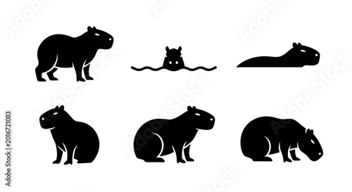 Diverse set of capybara silhouettes in various poses, illustrating the world's largest rodent standing, sitting, and swimming, ideal for nature and wildlife vector graphics
