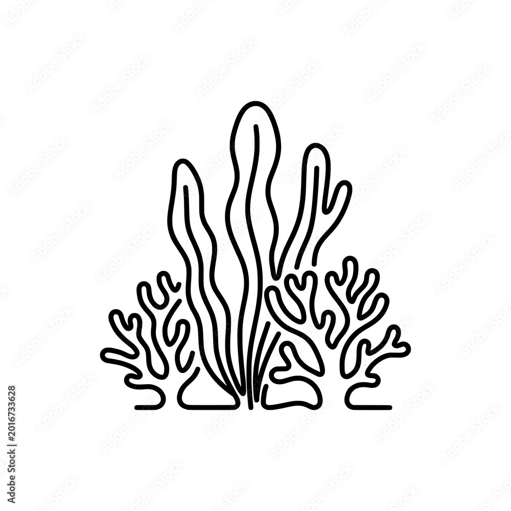 Fototapeta premium Seaweed and Coral Icon