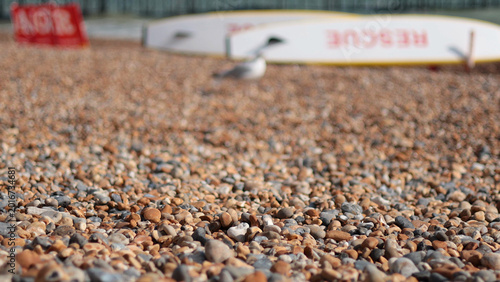 фотографія Close Up of Pebbles on Brighton Beach with Blurred Rescue Board