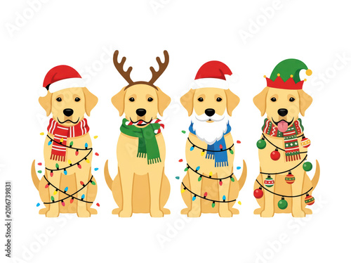 Four cute labrador retriever dogs dressed in festive christmas costumes and accessories isolated on transparent background