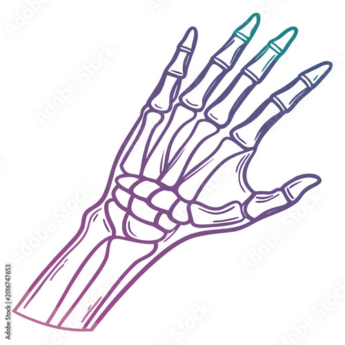 Schilderij op canvas Skeleton hand bones in gradient line art drawing.