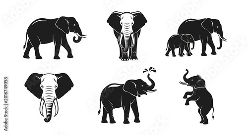 Collection of stylized flat graphic illustrations of elephants in various poses and sizes, showcasing their majestic forms