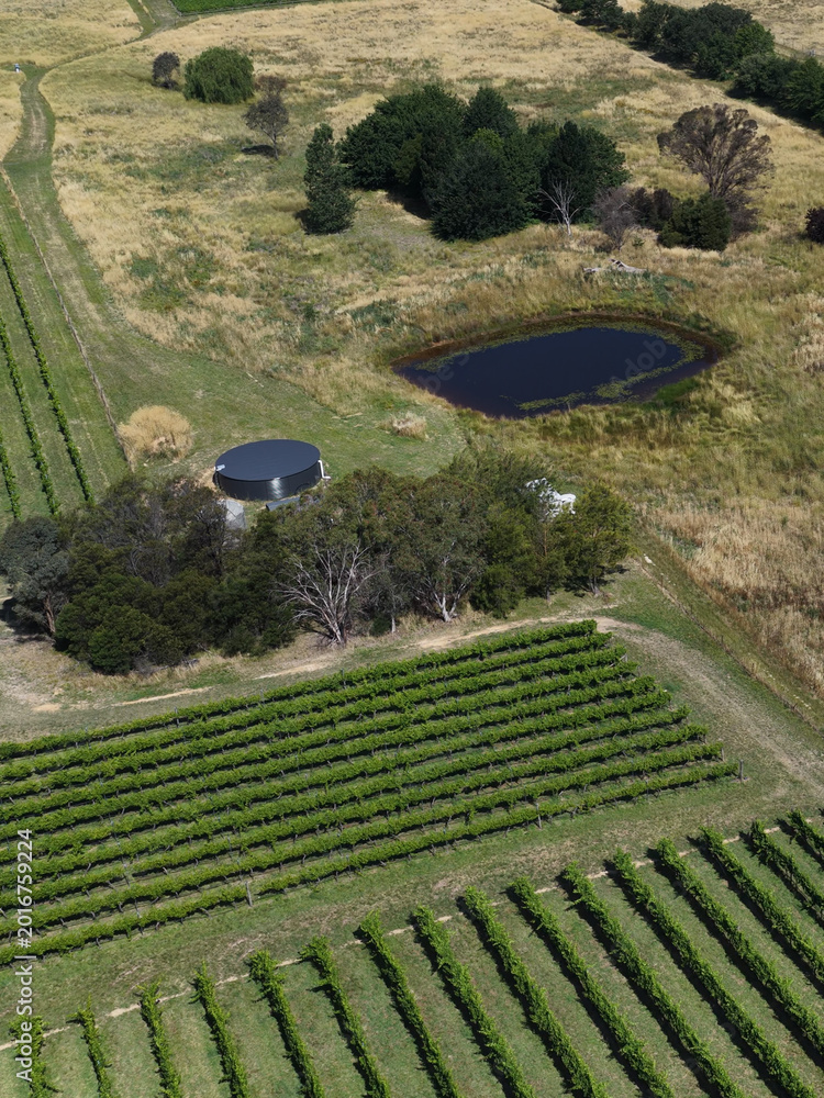Fototapeta premium Aerial View of Vineyard Rows with Water Pond in Murrumbateman Australia