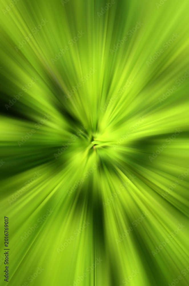 Fototapeta premium abstract green background