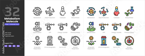 Valokuva Metabolism icon set collection - colored outline line art