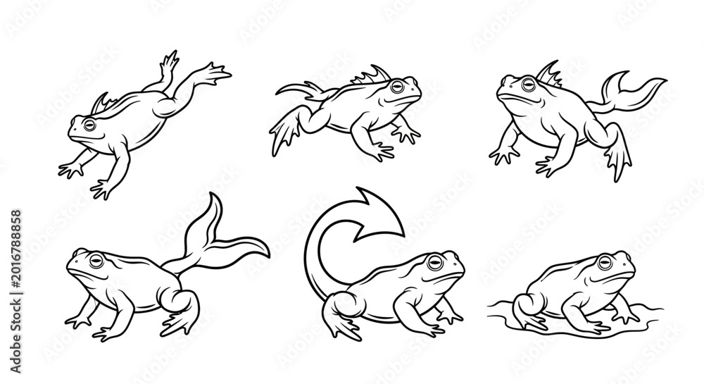 Obraz premium Set of Cartoon Frog Illustrations with Tails and Dynamic Poses