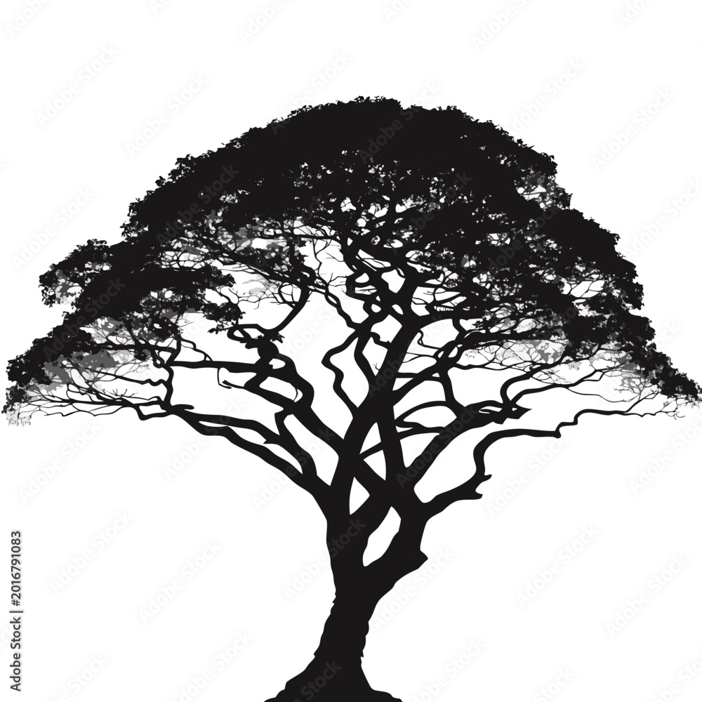 Fototapeta premium Tree silhouette, black tree, tree icon, tree illustration, isolated tree