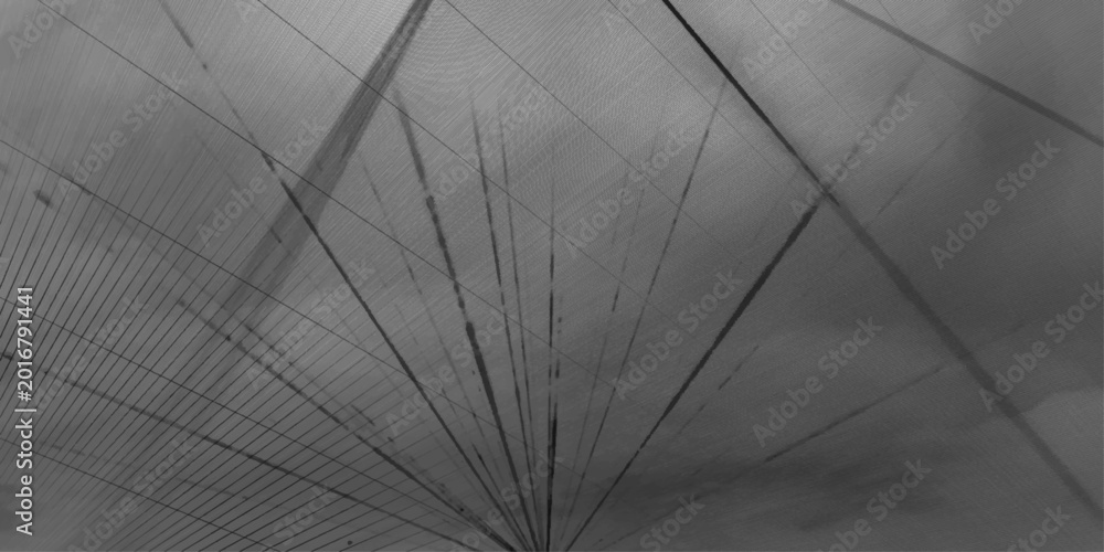 Fototapeta premium Abstract perspective lines with grey light tunnel effect representing speed transmission, or teleportation. Abstract Light Rays Motion Blur Effect. modern design background with geometric shape. Vect
