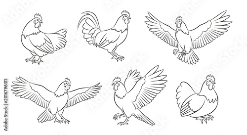 Set of Hand-Drawn Roosters and Hens in Various Poses