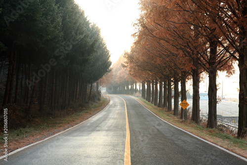 Foto 가을의 도로