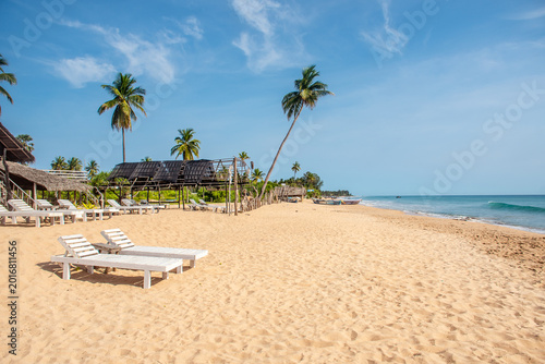 Palm Trees Along a Tropical Beach Nilaweli Sri Lanka