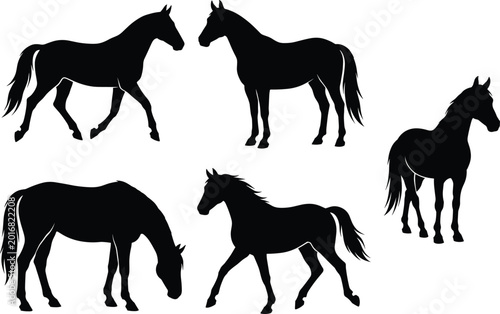 Fotografia Black silhouette vector illustration of horses in different poses including walk
