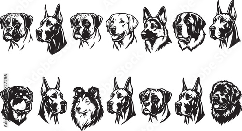 Flat vector illustration of various dog breeds, pet portraits, canine diversity, animal art, loyalty, friendship, domestic pets concept