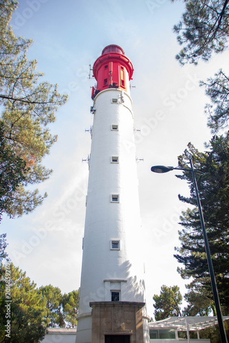 The Majestic Phare du Cap Ferret Tower Framed by Pine Trees