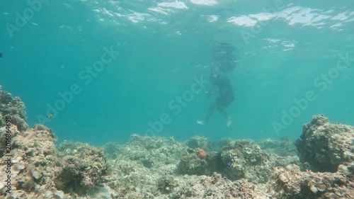 Wide underwater shot of a person snorkeling over a tropical coral reef in the South Pacific