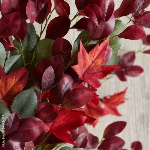 Red and Green Leaves Lay Flat on a Surface in a Close View With a Mix of Colo...