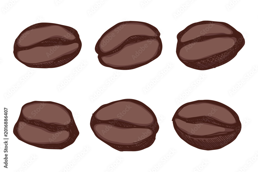 Fototapeta premium Set of hand drawn fresh roasted coffee bean Arabica robusta seed doodle Single element for design print packaging label decor