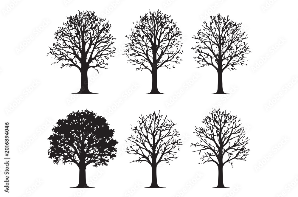 Obraz premium Bare tree silhouettes collection on a white background