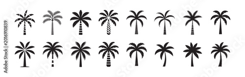 Collection of various palm tree silhouettes suitable for tropical, summer, beach, and nature themes. Different styles of tree icons for creative design projects.