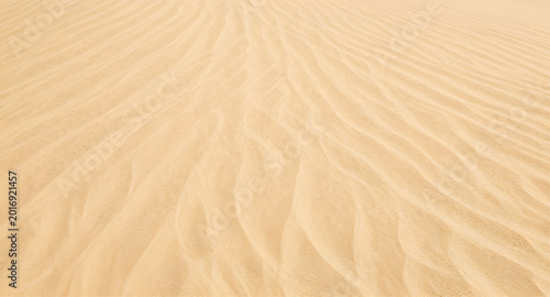 Fotografía natural, sand, ripples, desert, texture, abstract, wind, dunes, background, patt