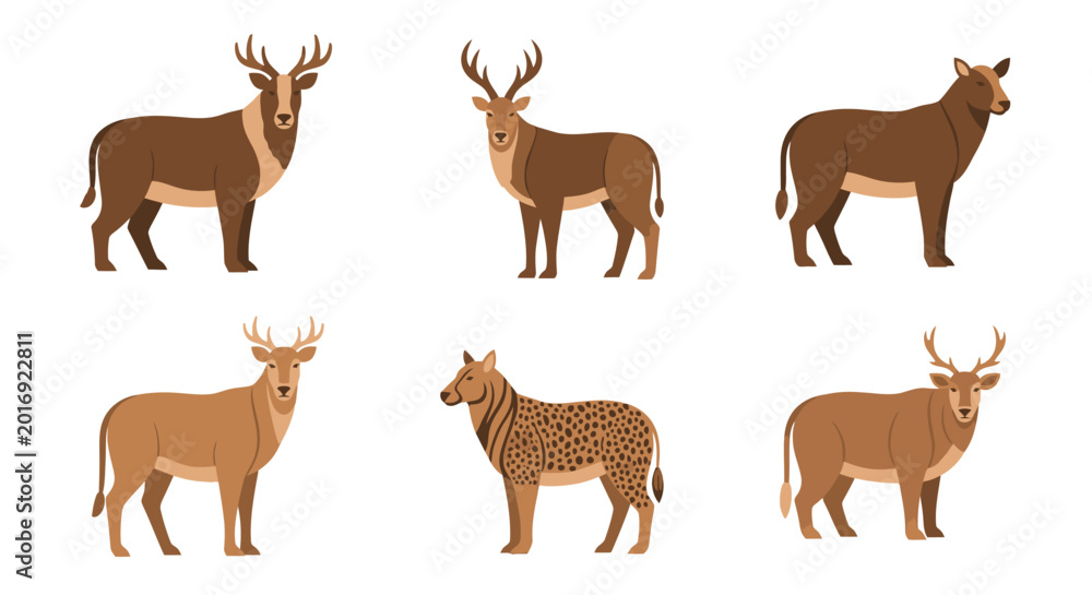 Fototapeta premium Variety of deer illustrations six animals of different colors and patterns