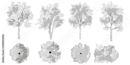 Schilderij op canvas Set of sketch tree icons in top and side view for architectural design