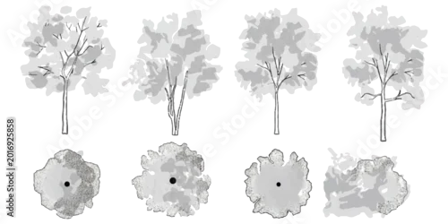 Obraz Set of sketch tree icons in top and side view for architectural design