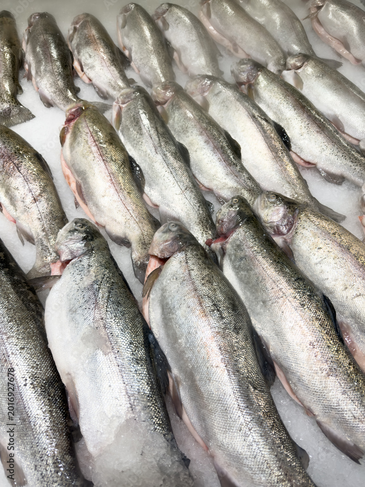 Obraz premium Rows of raw trout fish on ice