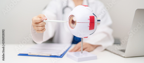 Tablou pe pânză Doctor with human Eye anatomy model with magnifying glass