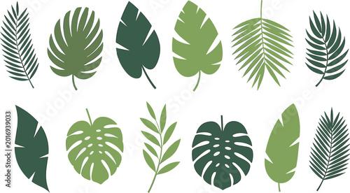 Tropical green leaves vector collection, botanical jungle foliage isolated natural plant design elements set